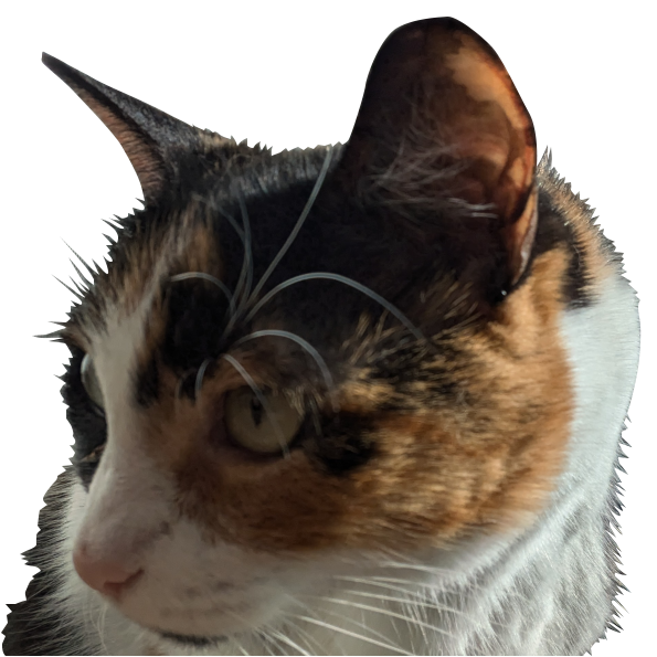 Team Member Image